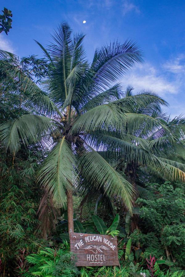 The Pelican House Hostel El Valle エクステリア 写真